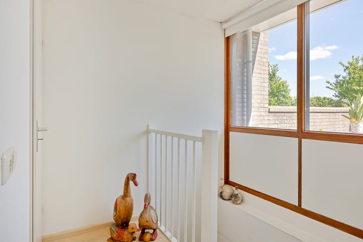 Foto 21 van Goudvink 2