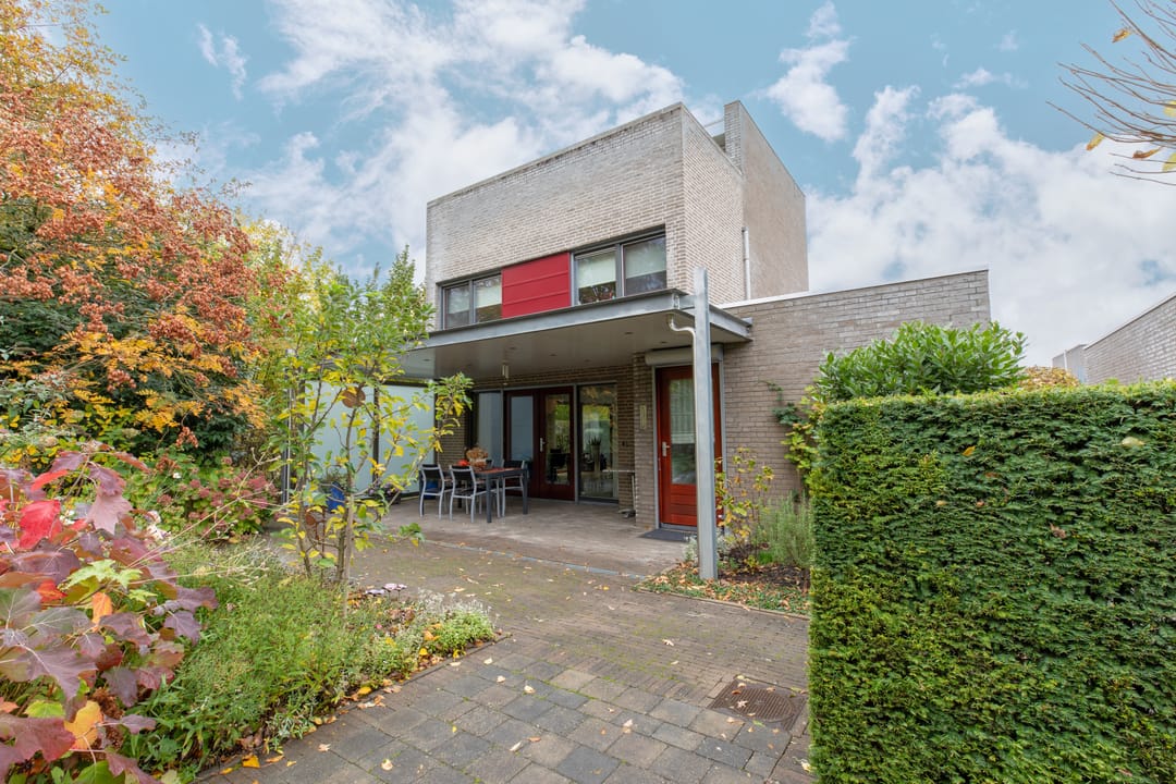 Photo 28 of Goudvink 2