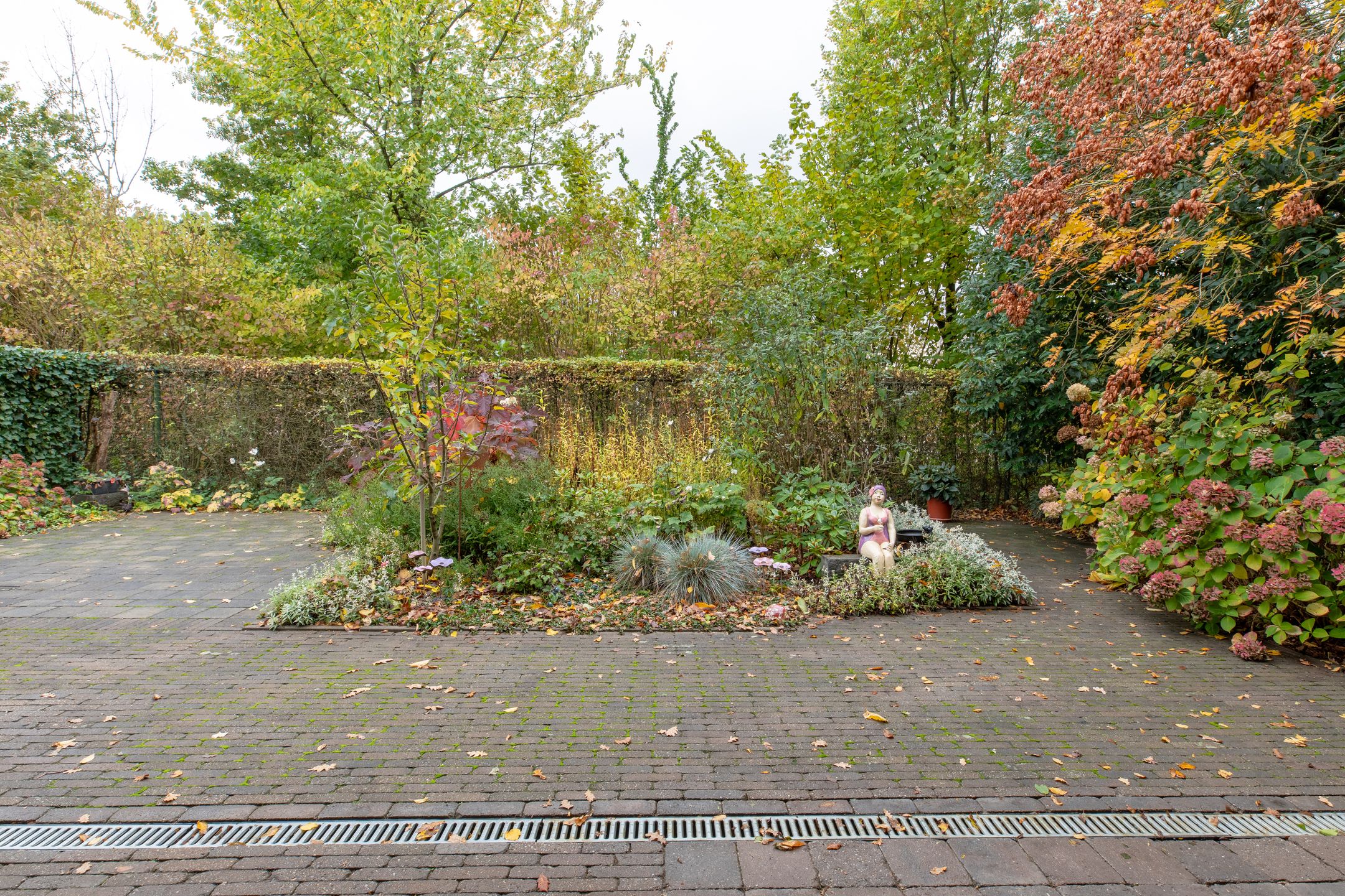 Photo 30 of Goudvink 2