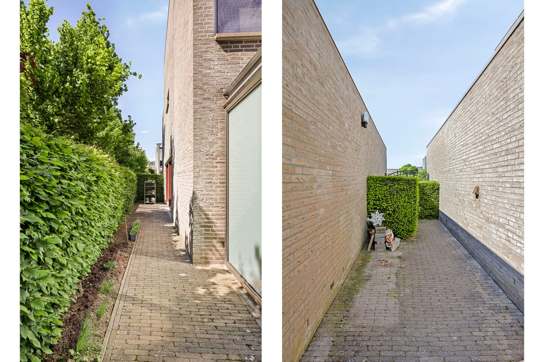 Photo 32 of Goudvink 2