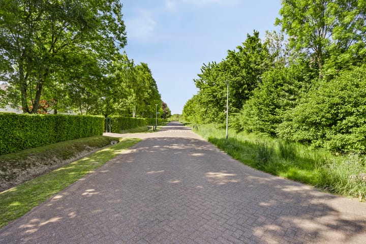 Foto 34 van Goudvink 2