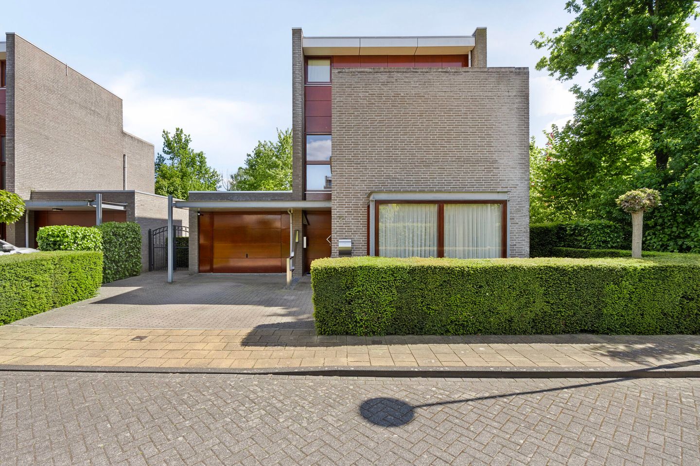 Photo 35 of Goudvink 2