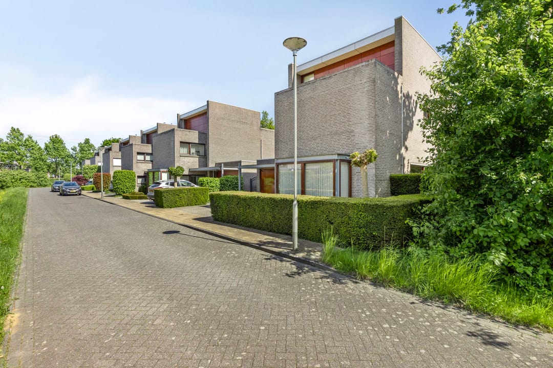 Photo 37 of Goudvink 2