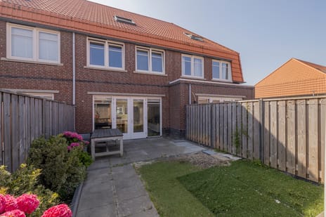 Hank 11 tertiary image