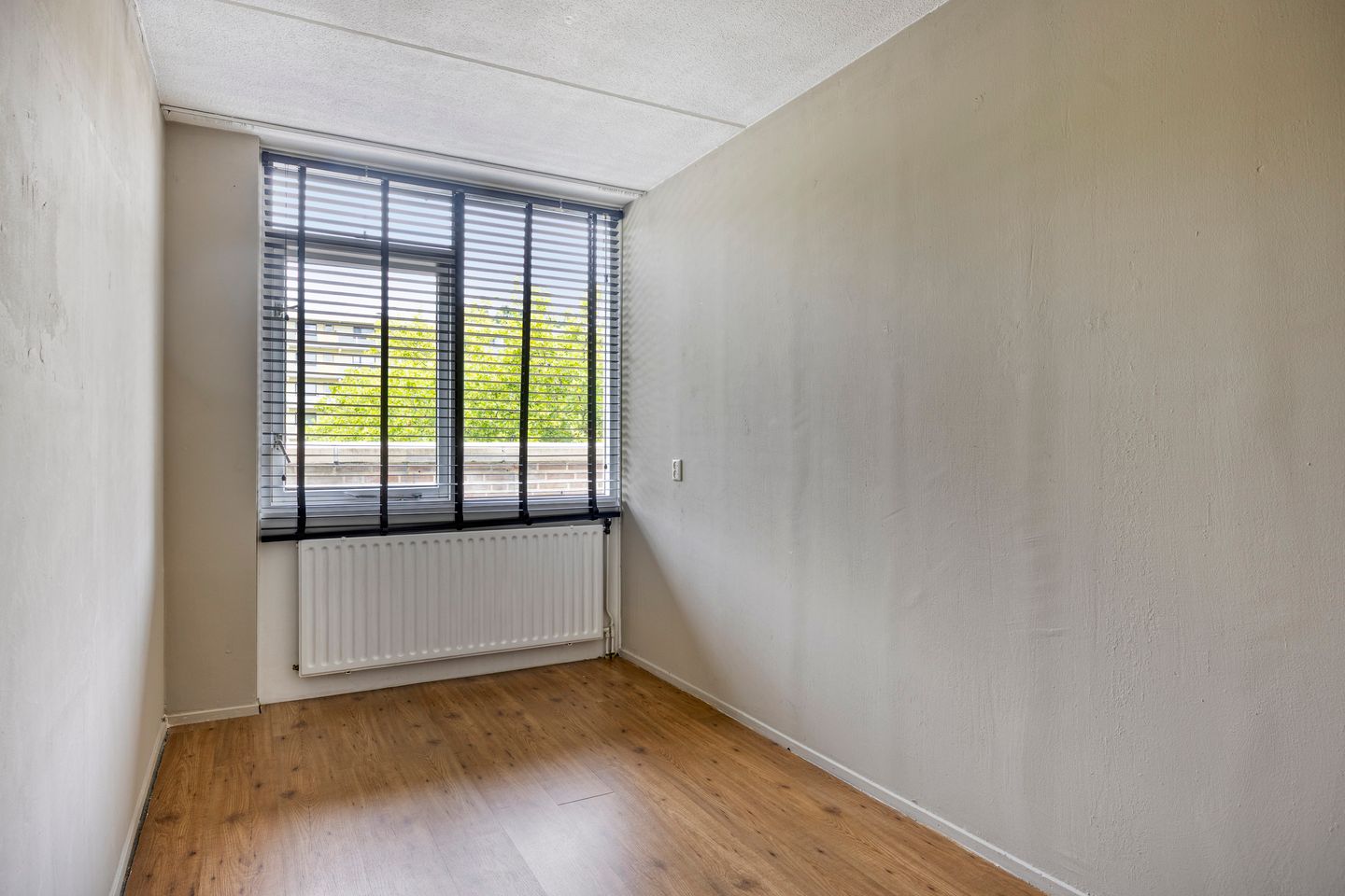 Foto 19 van Wilhelminastraat 243