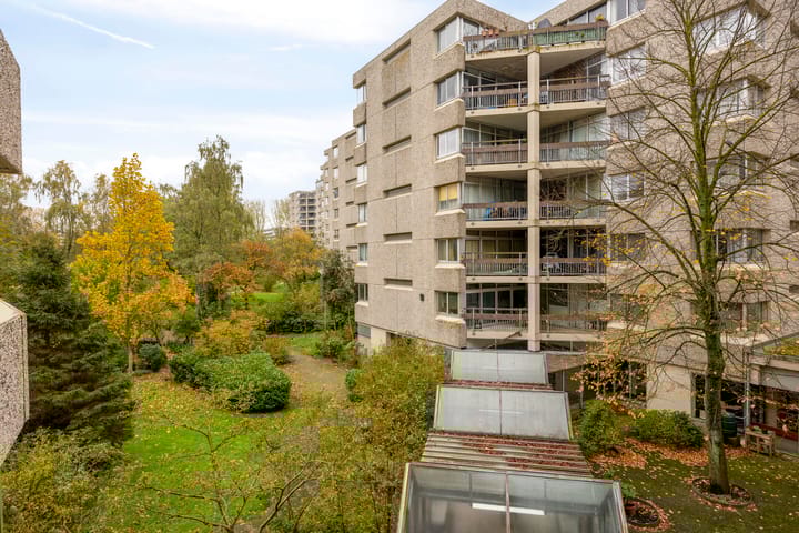 Foto 6 van Gouden Leeuw 912