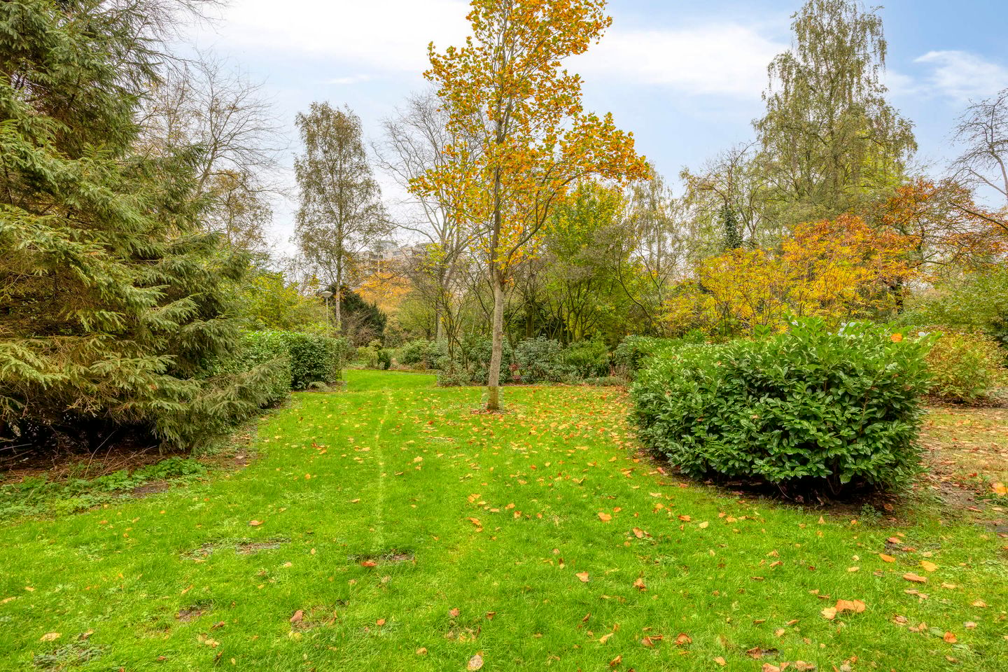 Photo 25 of Gouden Leeuw 912