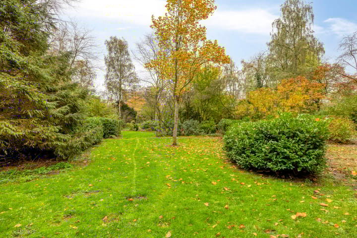 Foto 25 van Gouden Leeuw 912