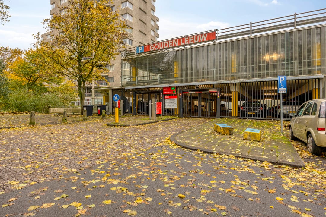 Photo 26 of Gouden Leeuw 912