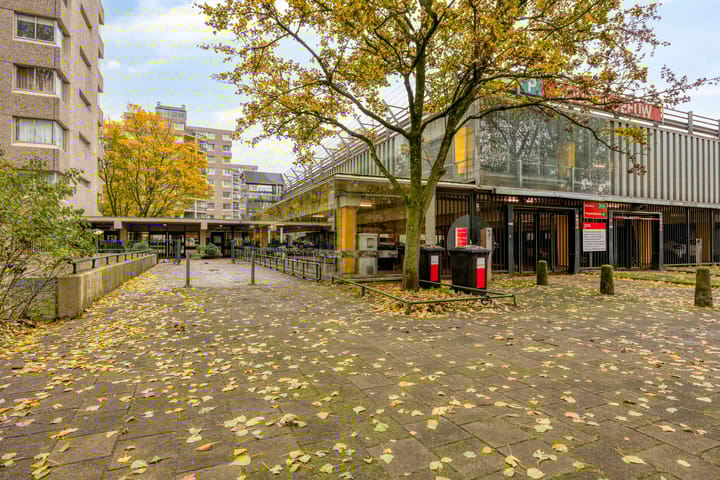 Foto 27 van Gouden Leeuw 912