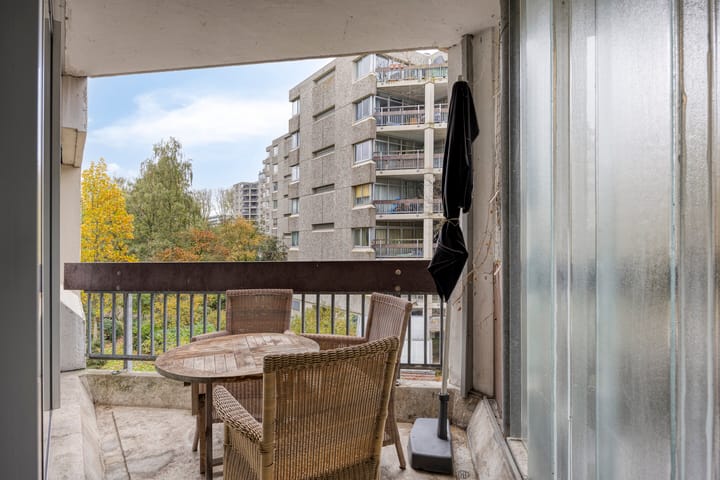 Foto 23 van Gouden Leeuw 912