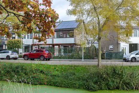 undefined main image