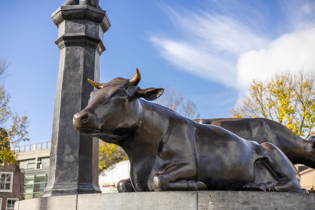 Foto 38 van Markerkade 18