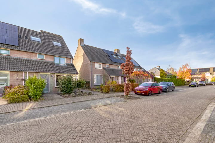 Photo 2 of Dopheidebeemd 17