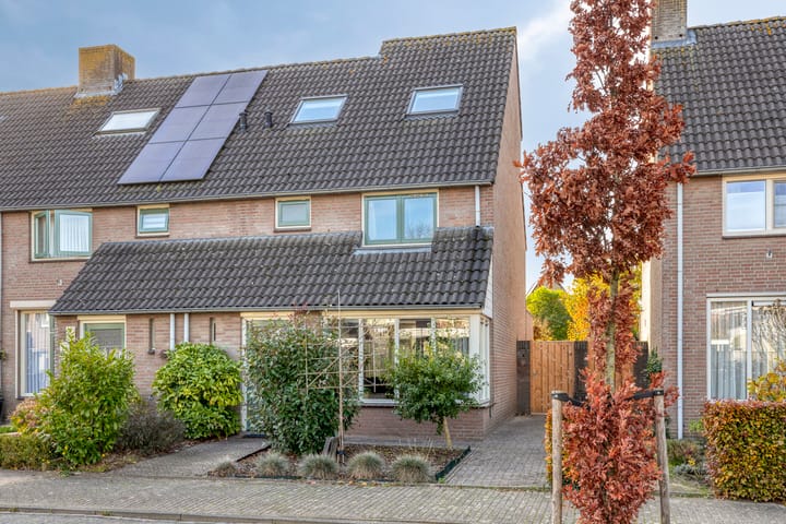 Photo 3 of Dopheidebeemd 17