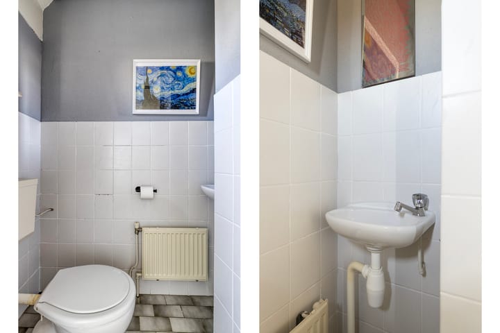 Photo 6 of Dopheidebeemd 17