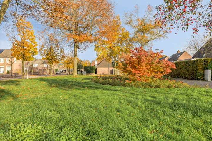 Photo 30 of Dopheidebeemd 17