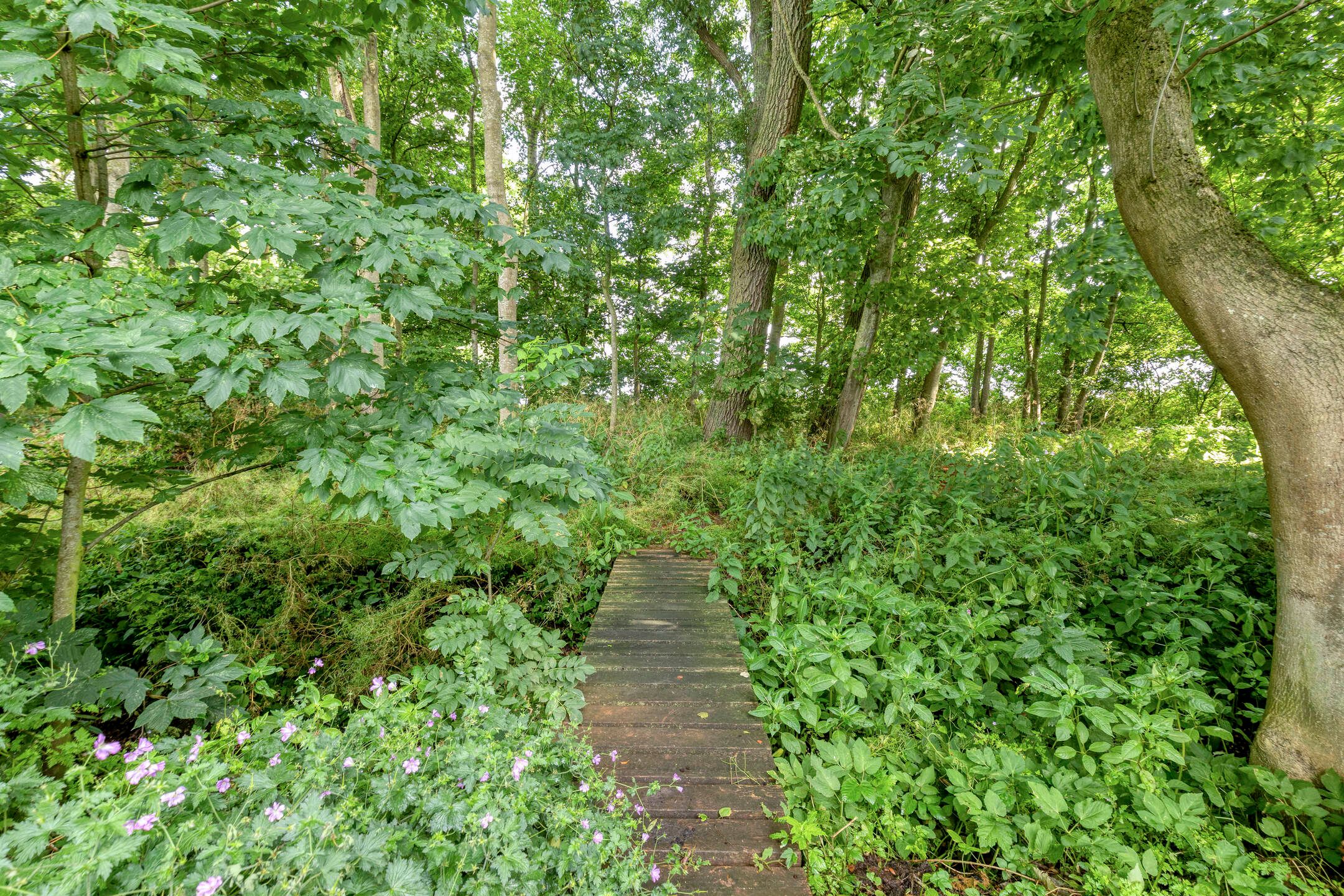 Foto 39 van Tammingastraat 42