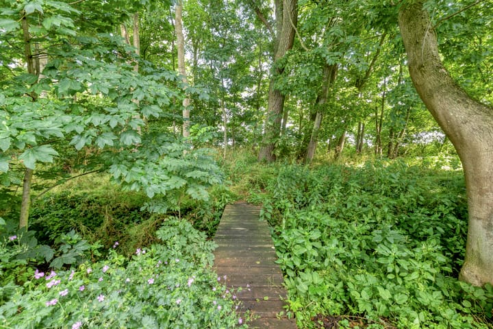 Foto 39 van Tammingastraat 42