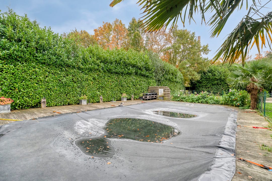 Foto 61 van Wezenland 8