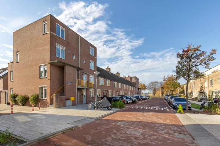 M. Gandhilaan 30 main image