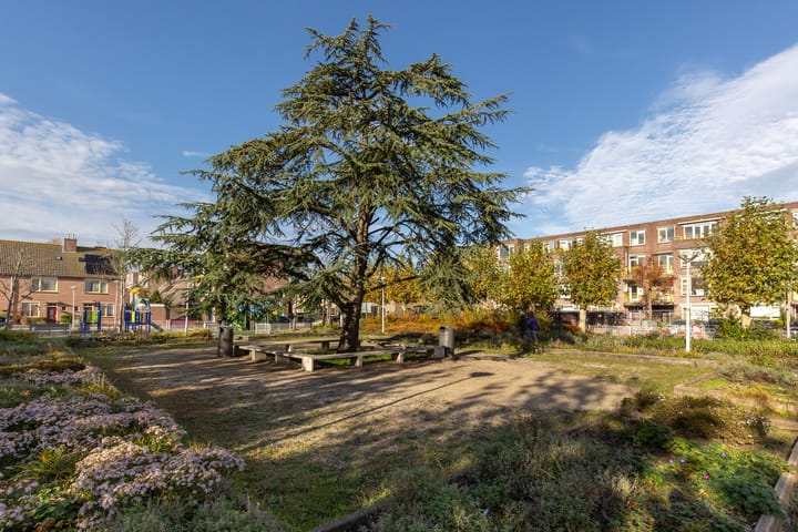 Photo 33 of M. Gandhilaan 30