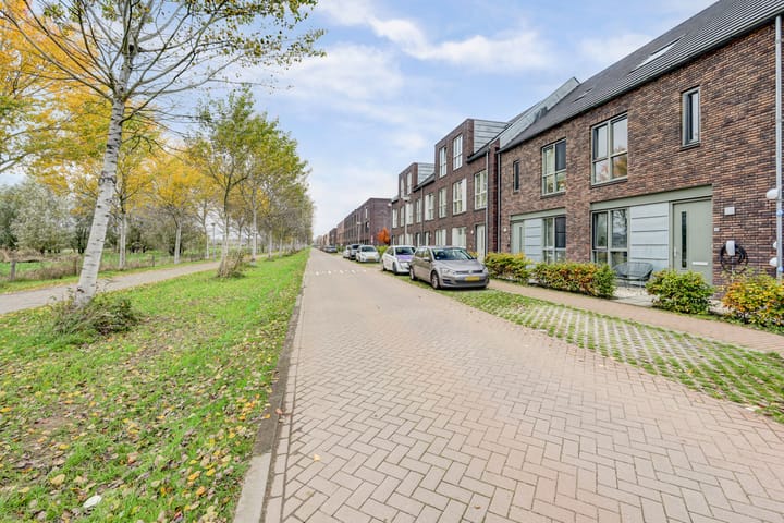 Foto 5 van Platinum 75