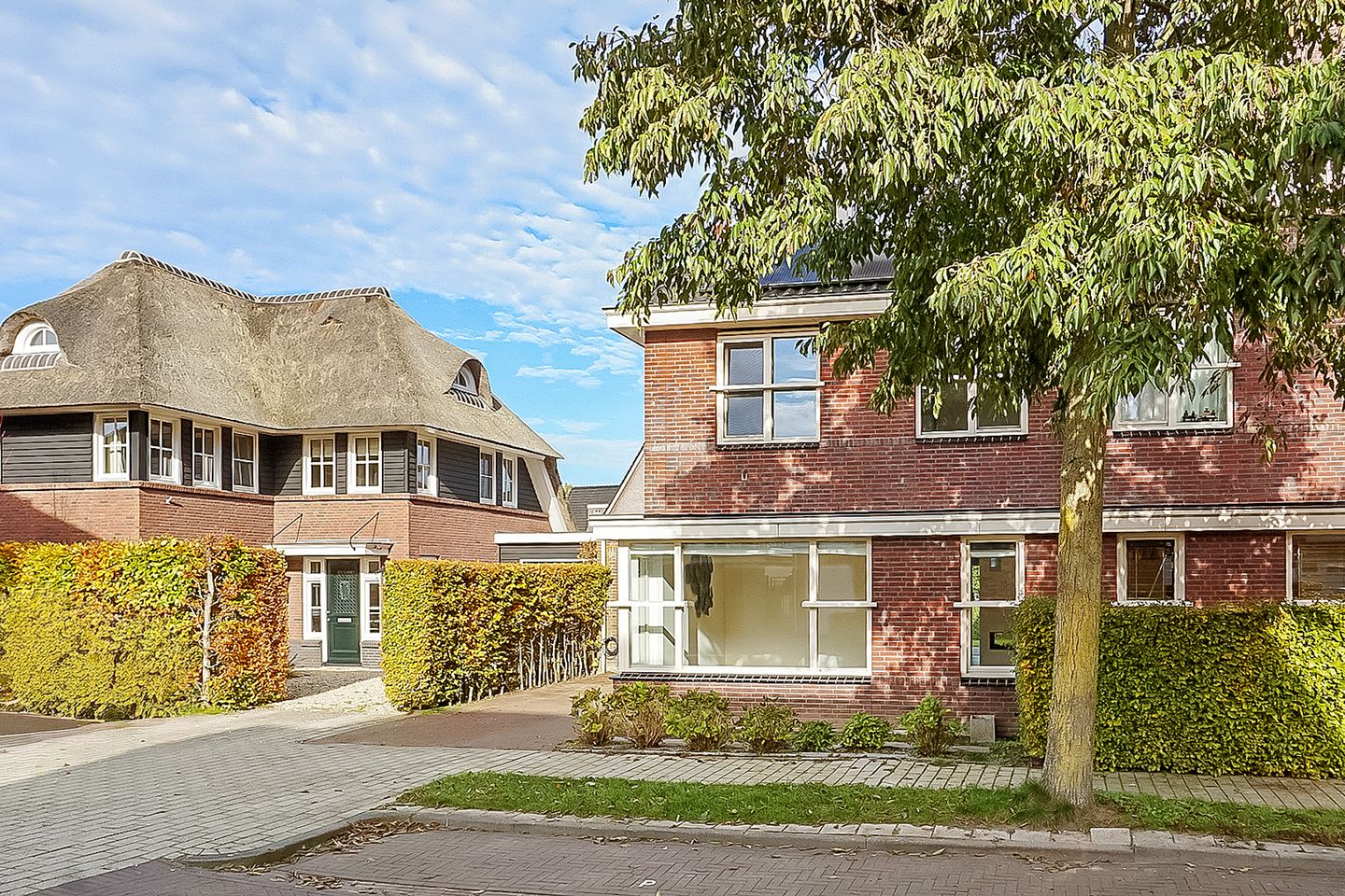 Foto 50 van Berg Enk 5