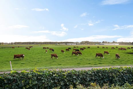 Kapelleboslaan 41-379 tertiary image