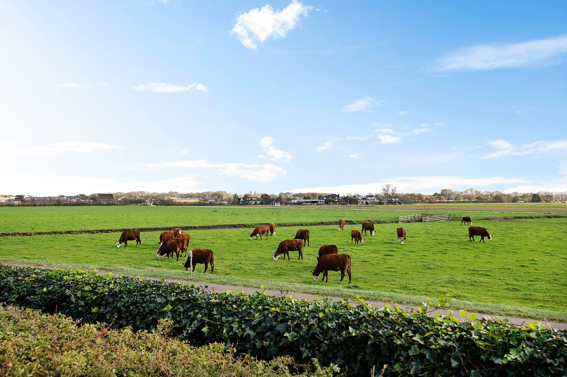 Foto 21 van Kapelleboslaan 41-379