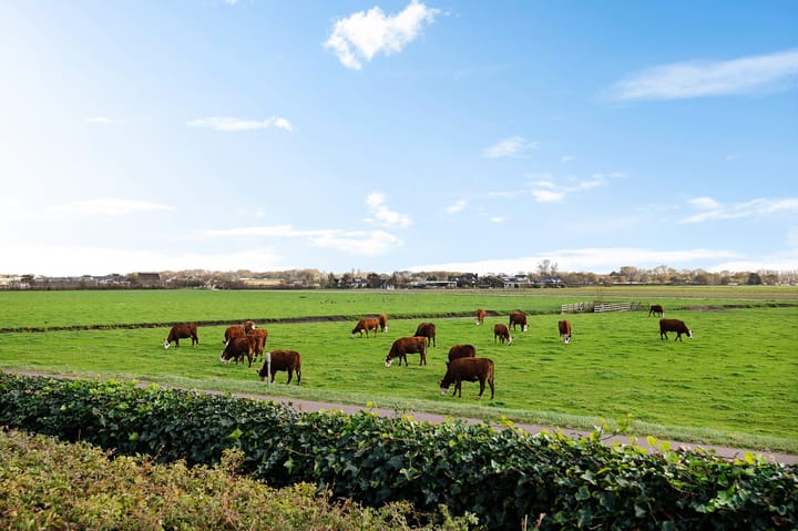 Foto 21 van Kapelleboslaan 41-379