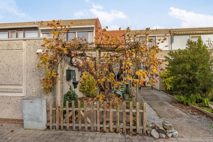 Azarooldoorn 12 main image