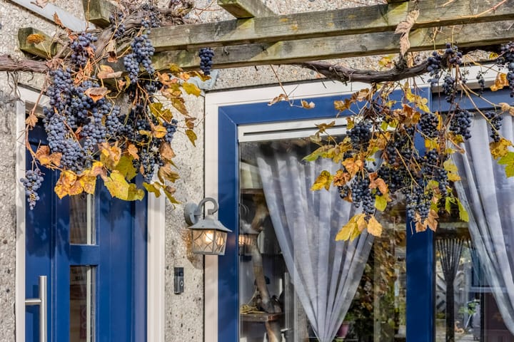 Foto 24 van Azarooldoorn 12