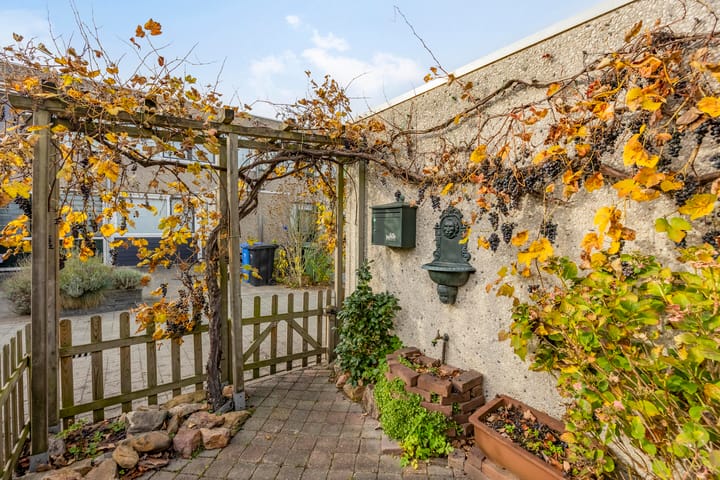 Foto 25 van Azarooldoorn 12