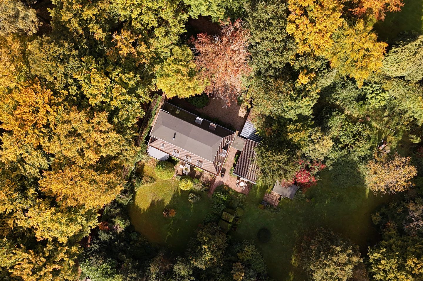 Foto 5 van Rosendaalselaan 29