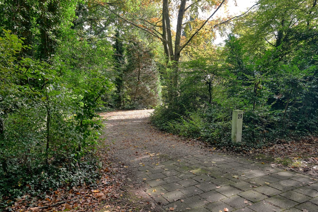 Foto 7 van Rosendaalselaan 29