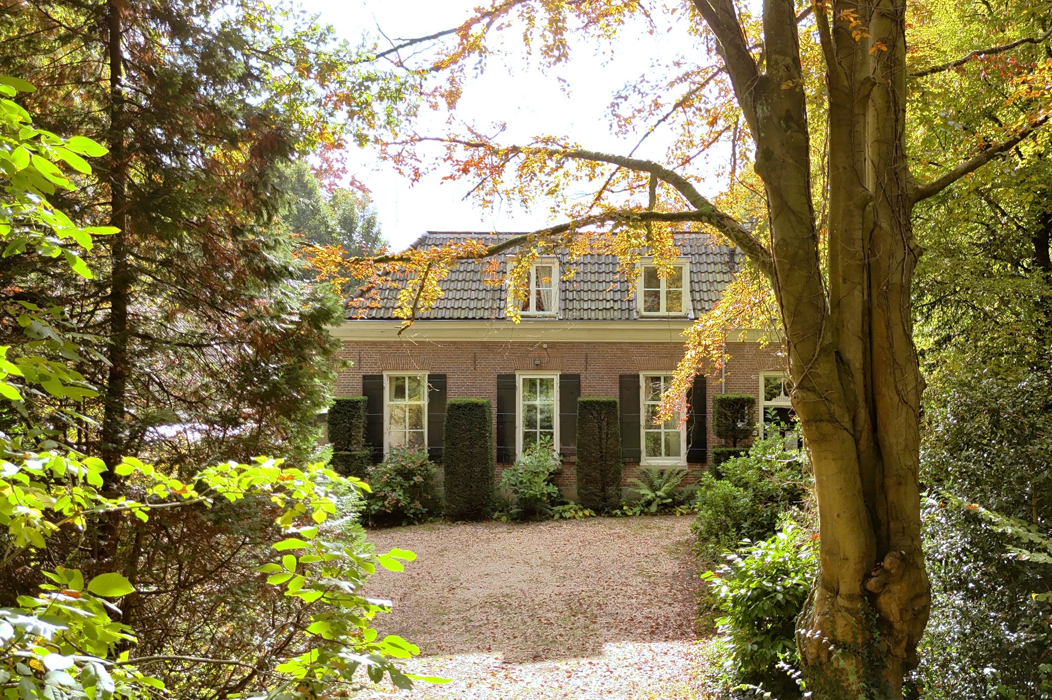 Foto 9 van Rosendaalselaan 29