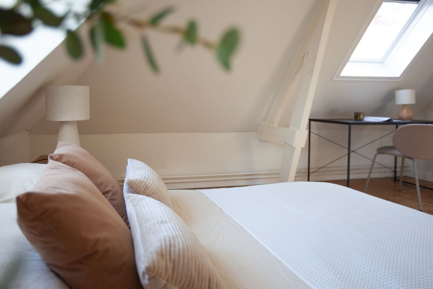 Foto 29 van Kooltuin 26