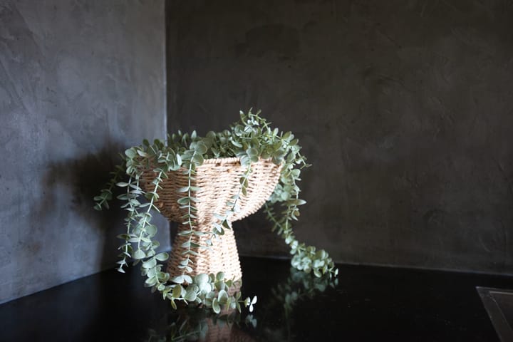 Foto 19 van Kooltuin 26