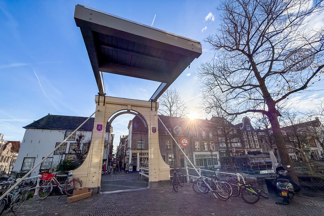 Foto 53 van Kooltuin 26