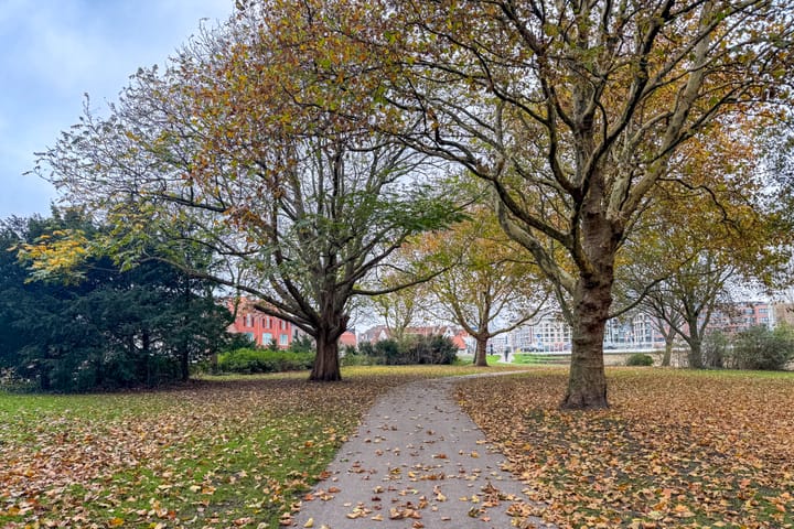 Foto 65 van Kooltuin 26