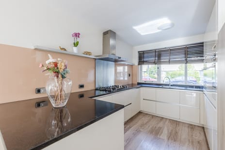 Herman de Manlaan 23 tertiary image