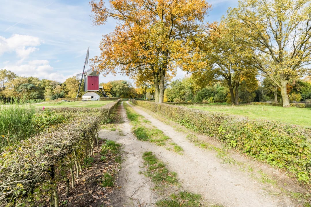 Photo 26 of Helmondsestraat 33-F