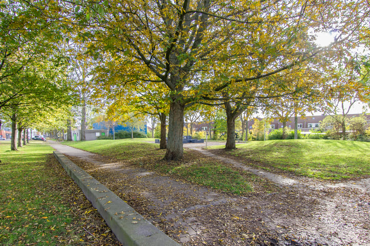 Photo 43 of Paul Krugerstraat 48