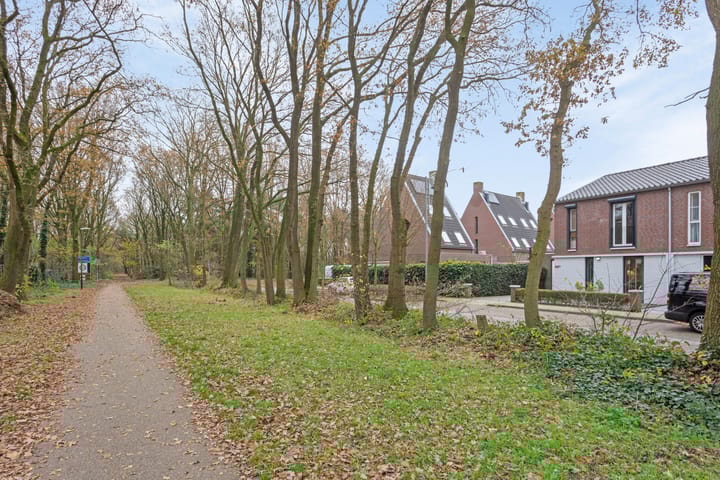 Photo 38 of Elzenseloop 15