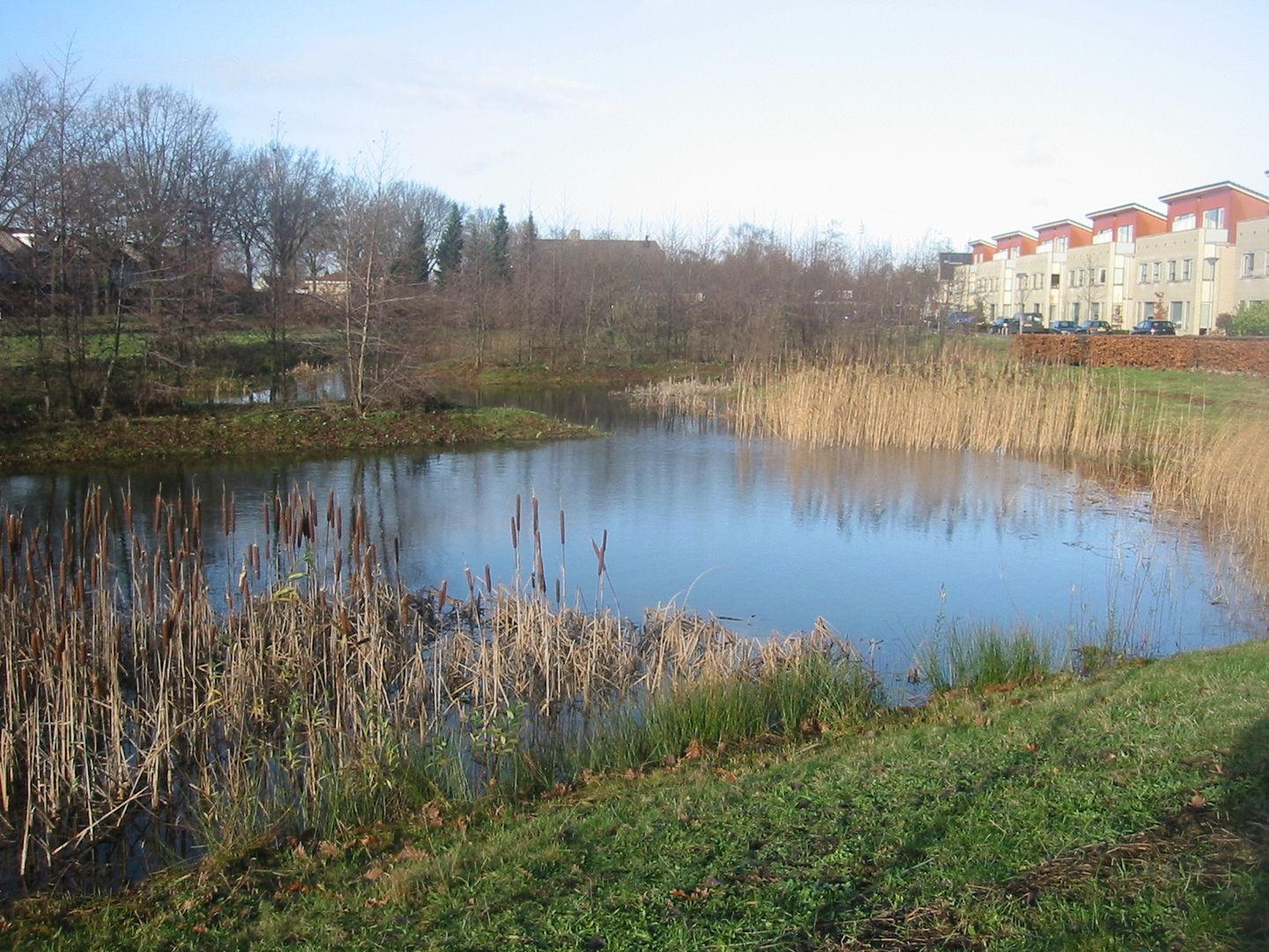 Foto 40 van Elzenseloop 15