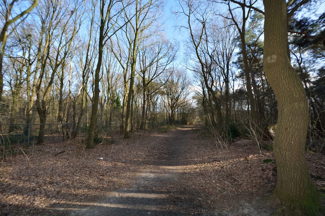 Foto 41 van Elzenseloop 15