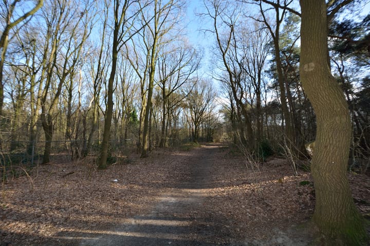 Photo 41 of Elzenseloop 15