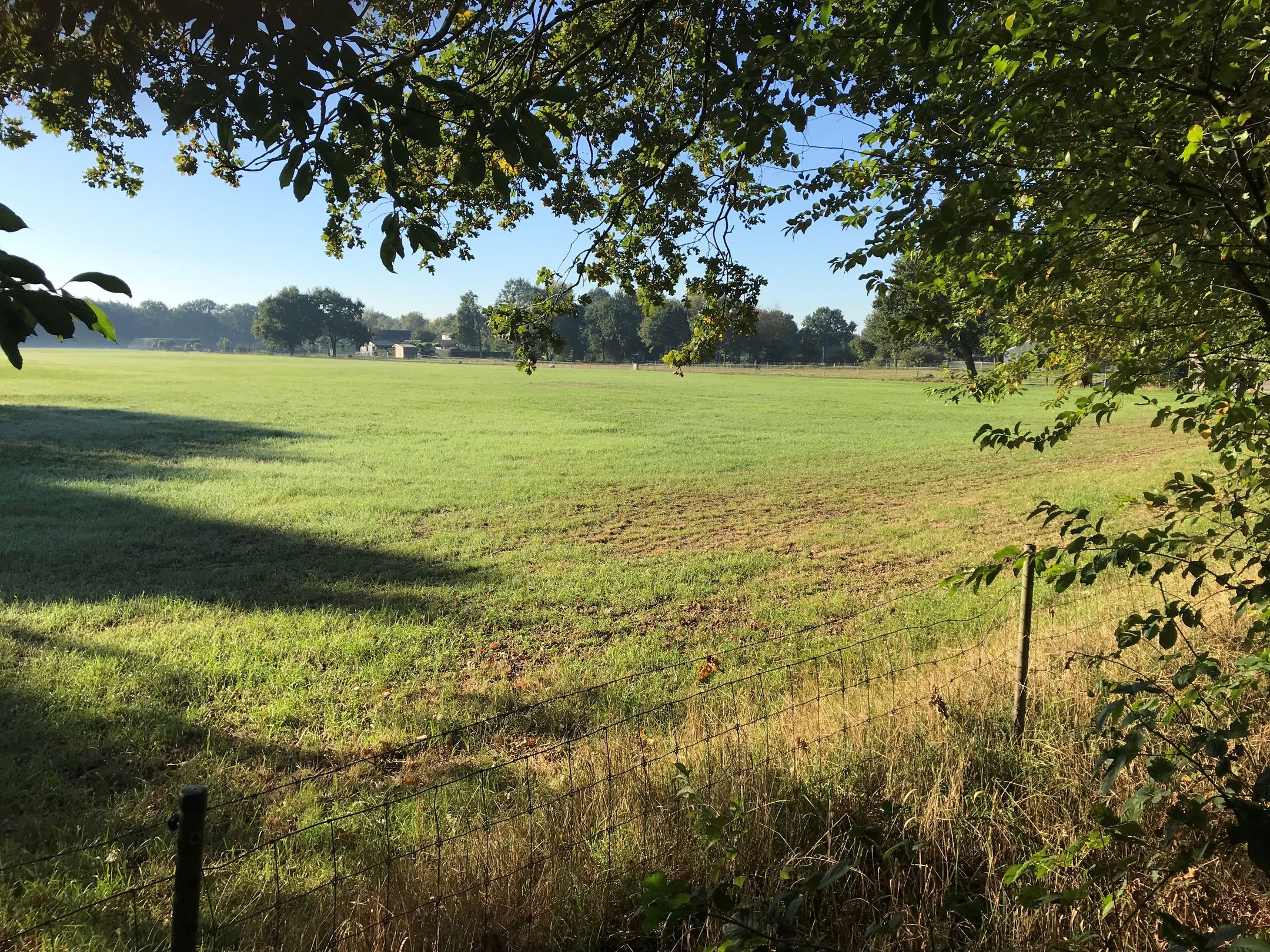 Foto 42 van Elzenseloop 15