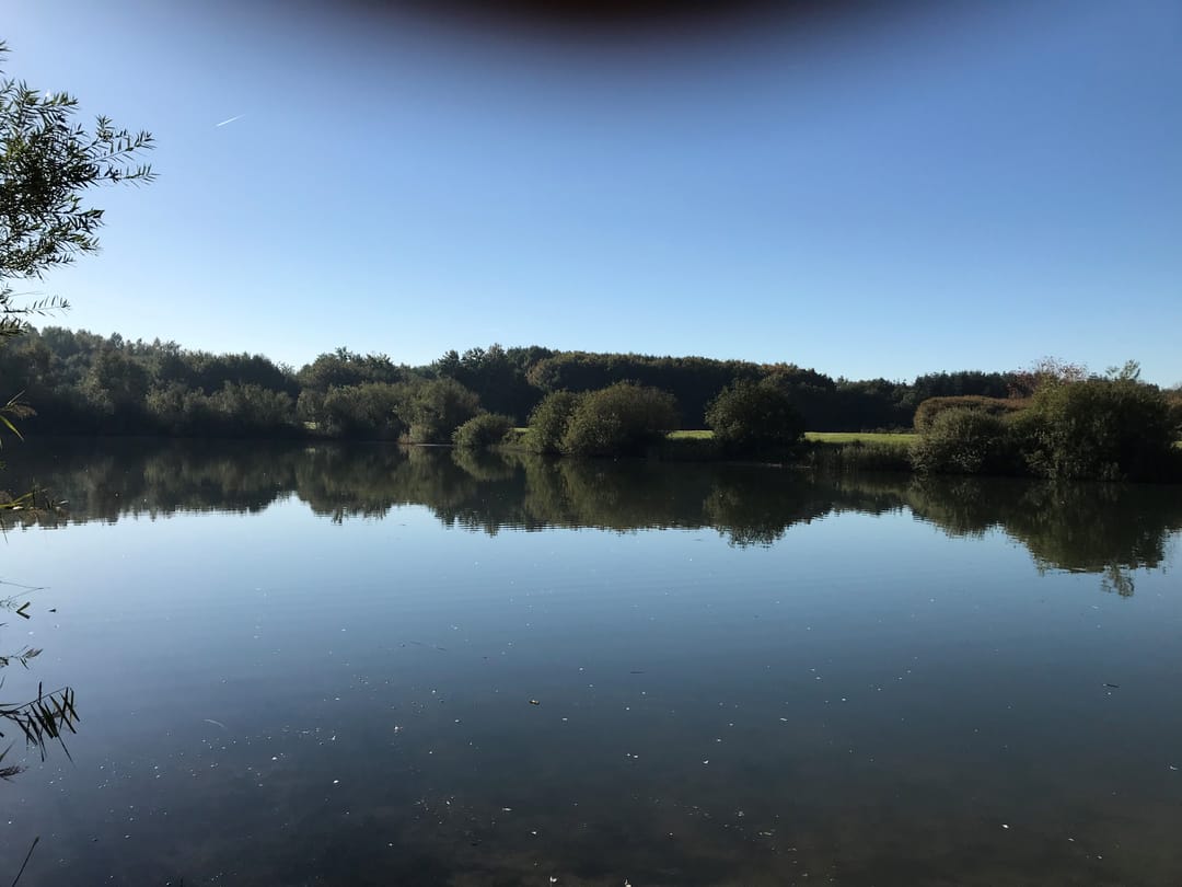 Foto 43 van Elzenseloop 15